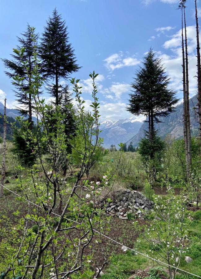 Getaway Stays Manali Εξωτερικό φωτογραφία